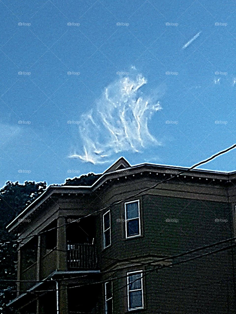 Animal Cloud Shapes...