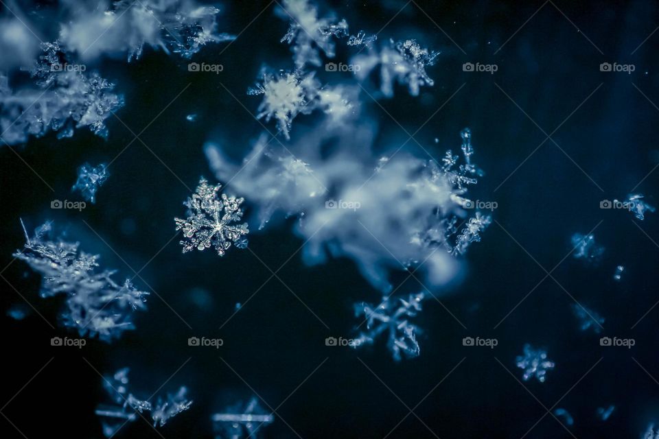 Snowflakes in the air