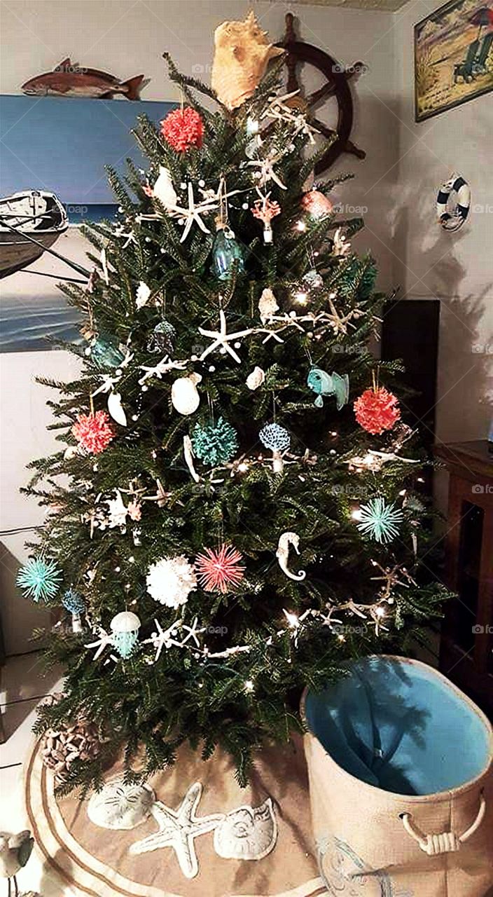 aquatic Christmas tree