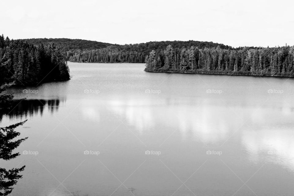 Calm water passing through the hills and forest 