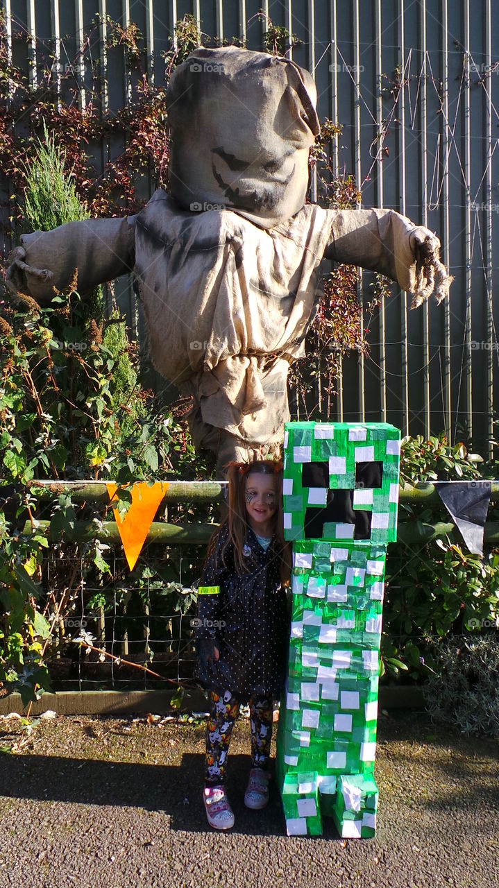 Halloween scarecrow and minecraft decs