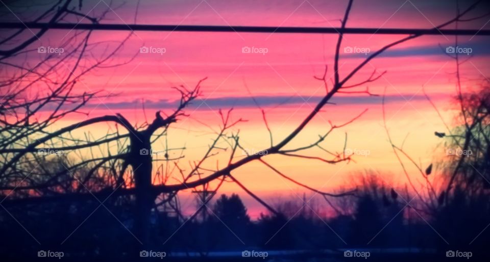 Beautiful Early Winter Sky in Michigan