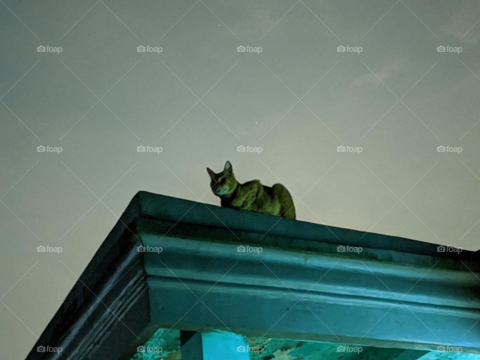 nighttime appearance on the roof of the house