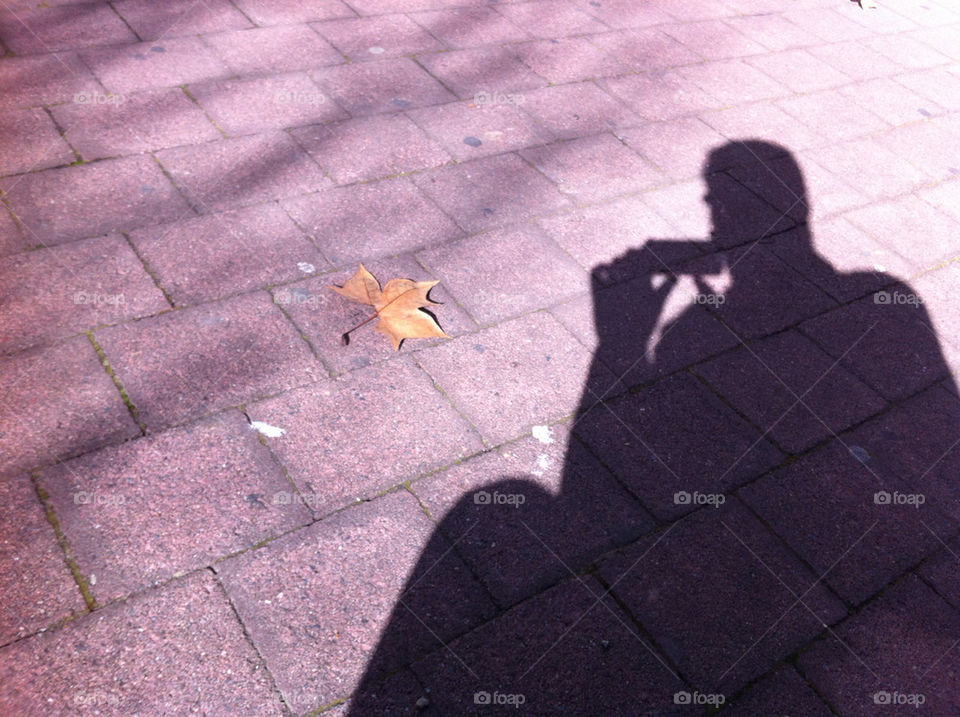 shadow leaf path photographer by splicanka