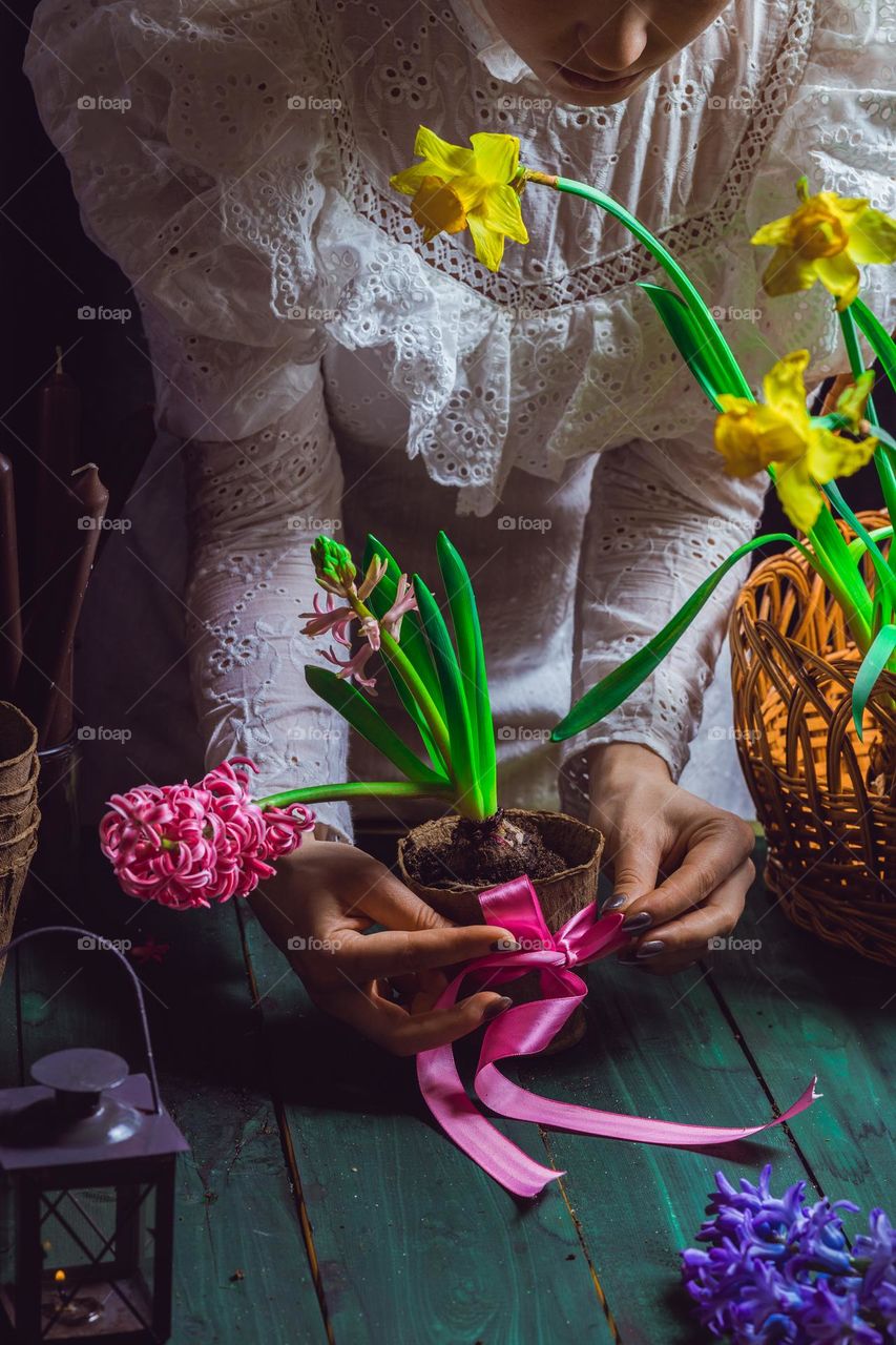 the girl ties a hyacinth with a ribbon for a gift. Floristry and home decoration. Small business for women. Ecology and plant care