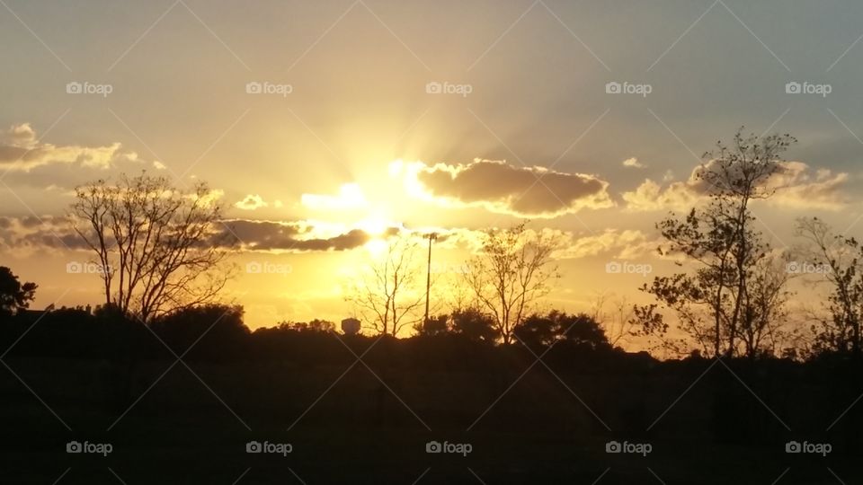 Sun rays at sunset