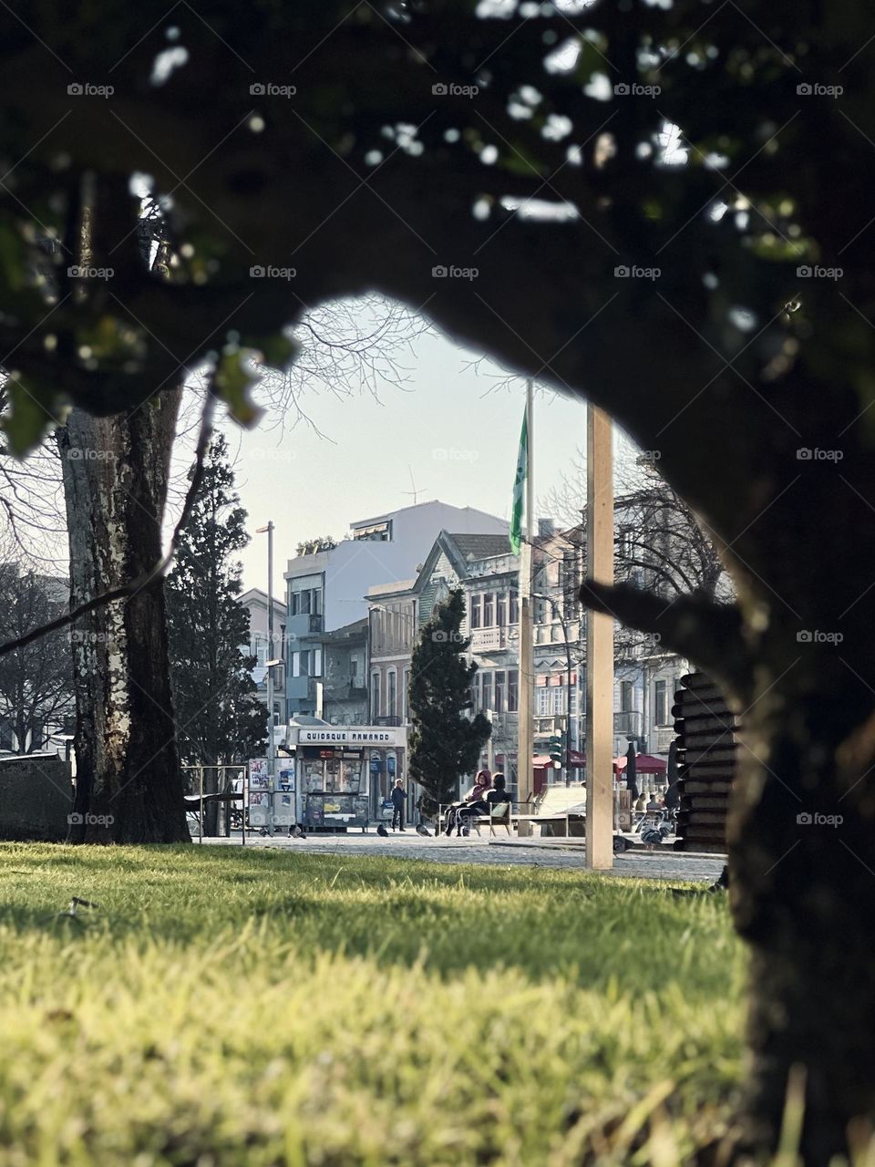 Chill afternoon in the plaza