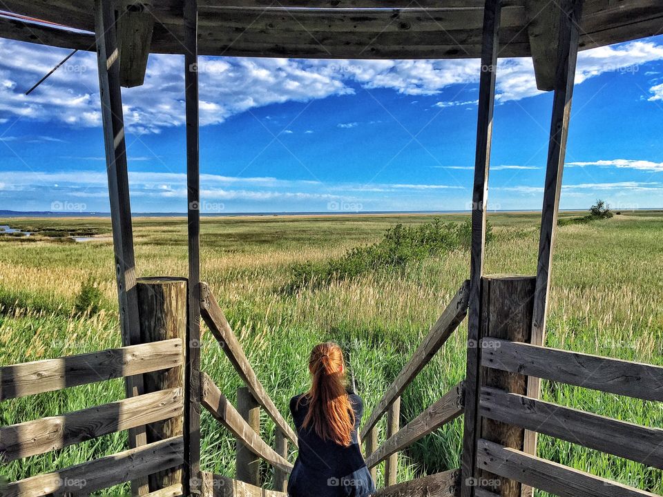 Rear view of a woman looking at grassland