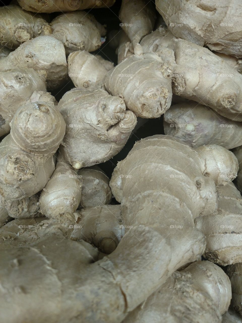 Fresh market ginger.