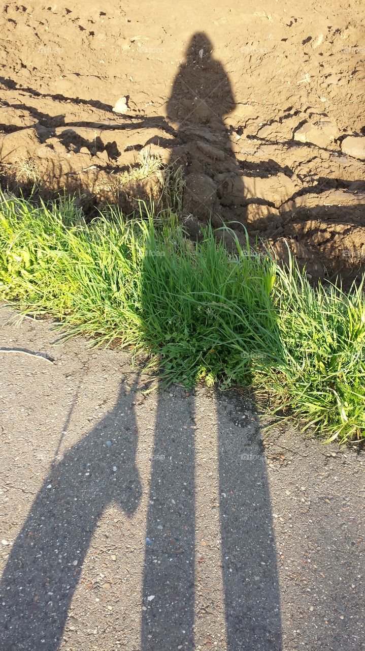 🌞 Shadow in the sun