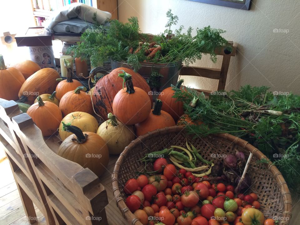 Our Fall harvest