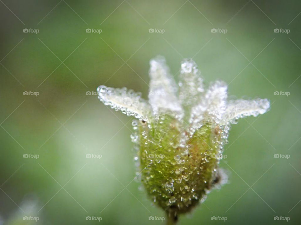 This my favorite picture i have ever taken