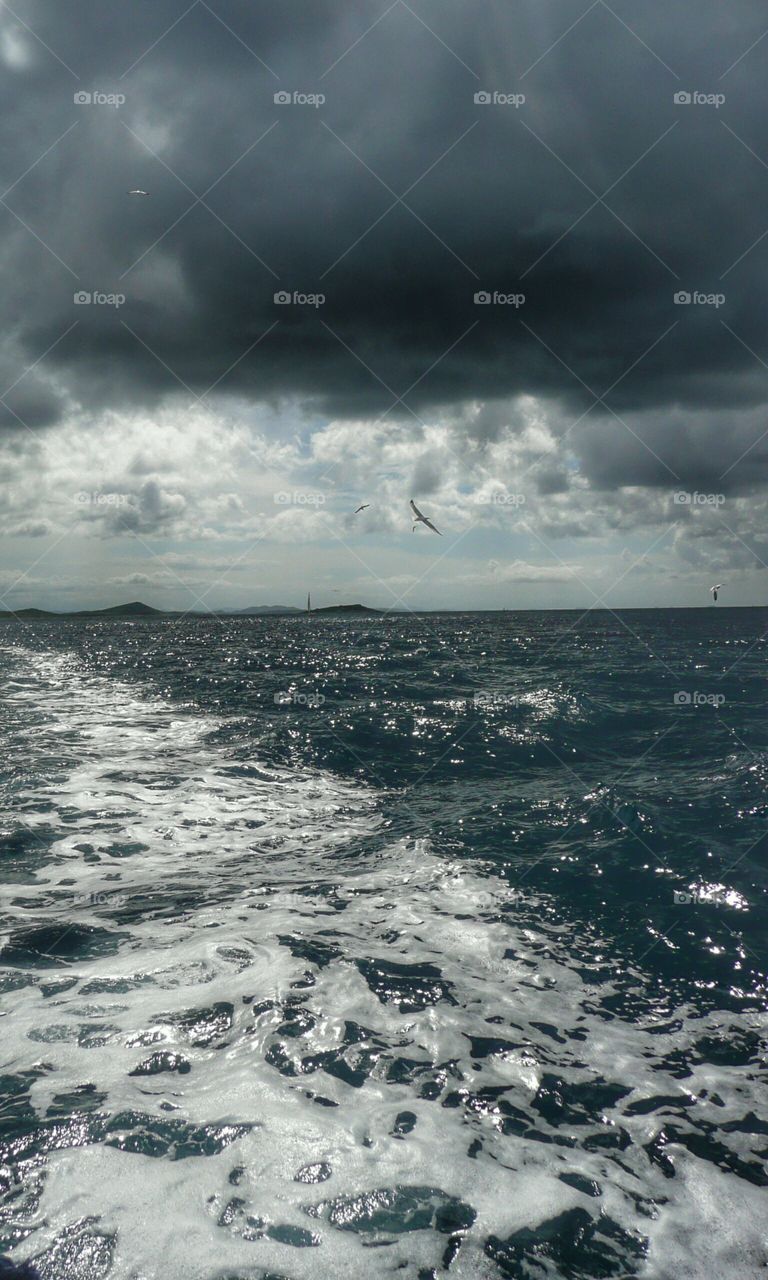 storm clouds over stormy sea and seagulls flying