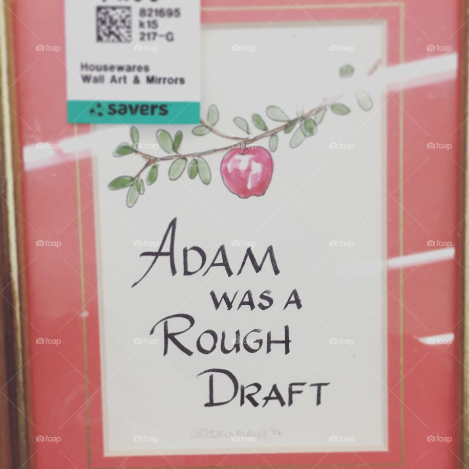 Adam Was A Rough Draft 