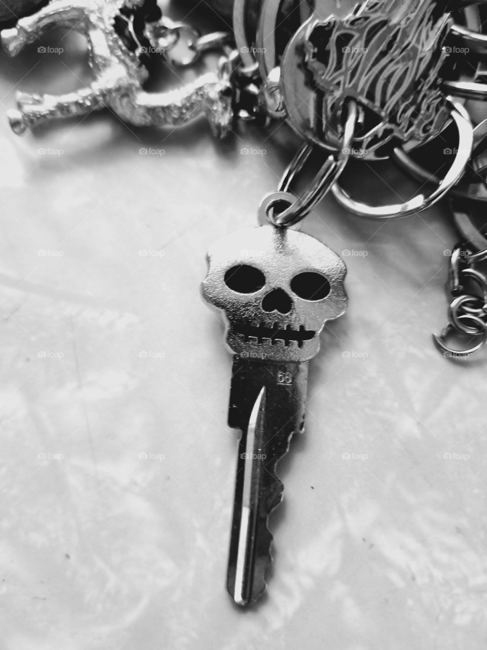 skull key b & w