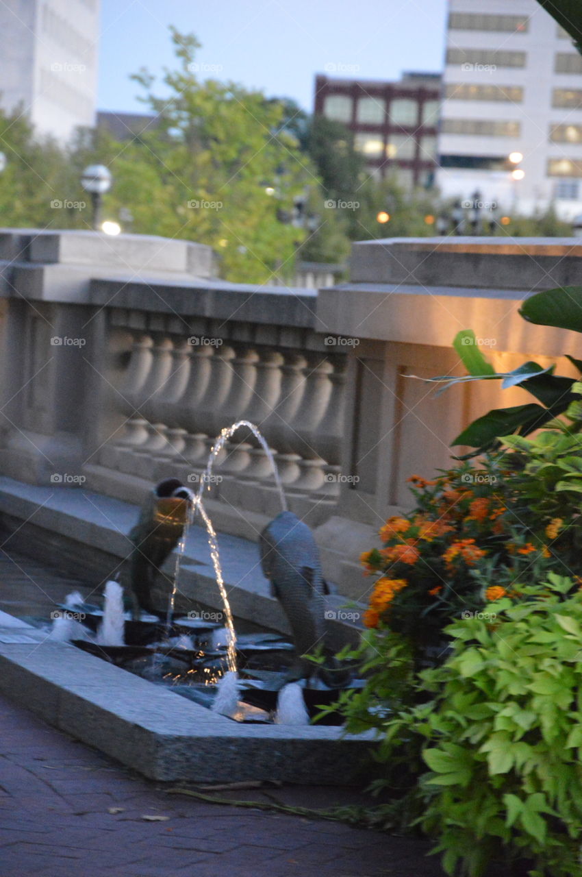 Fish fountain in the city