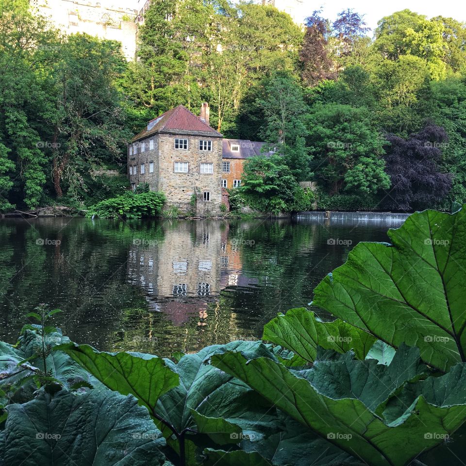 Durham Riverbank 