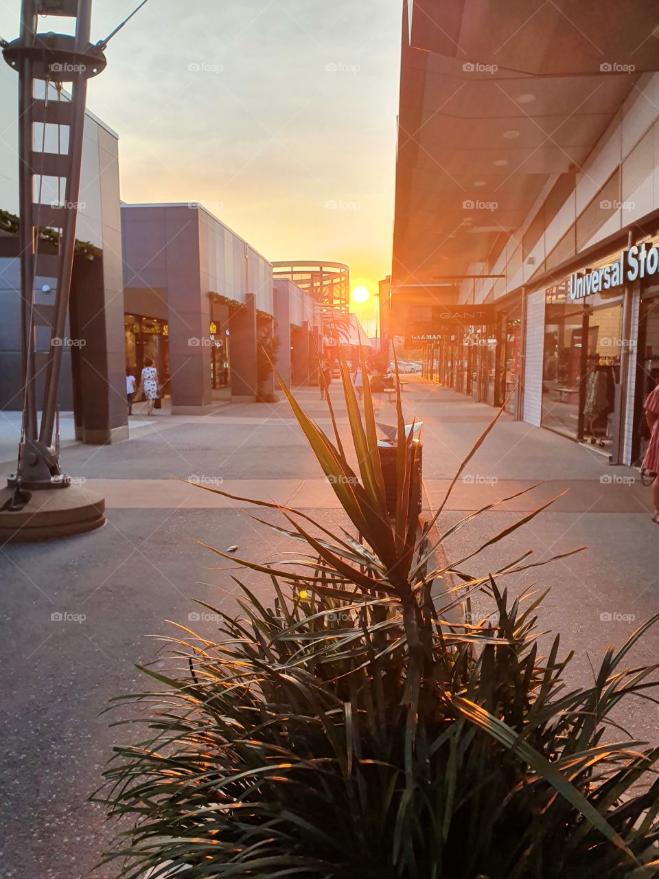 Sunset Shopping