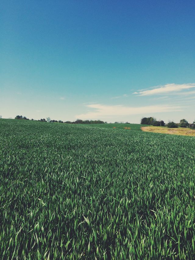 Fields