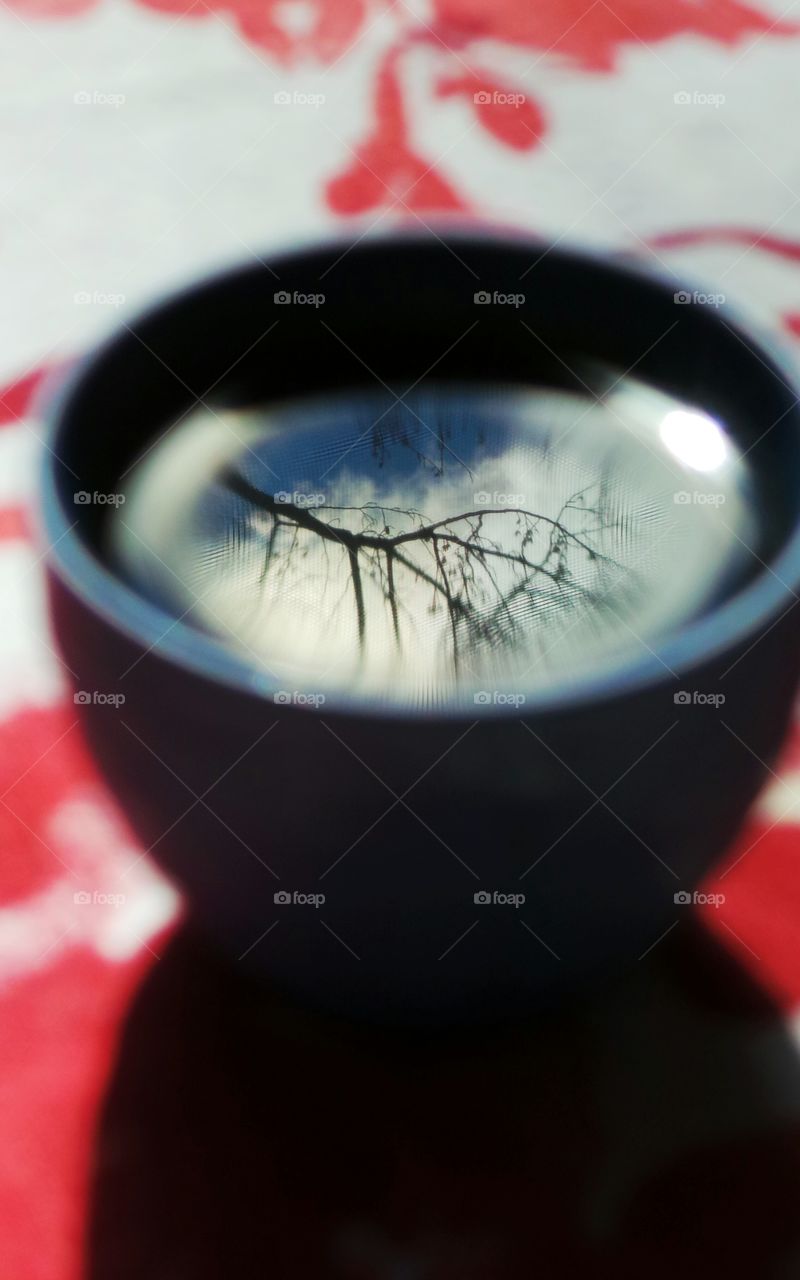Reflection of tree in coffee cup