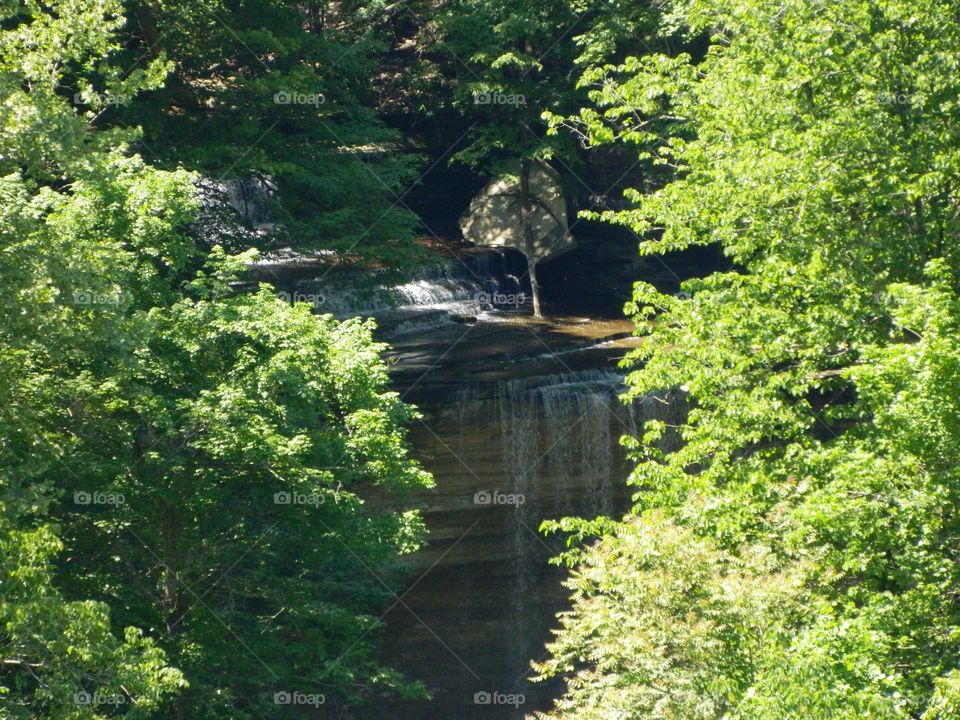 waterfall in the summer