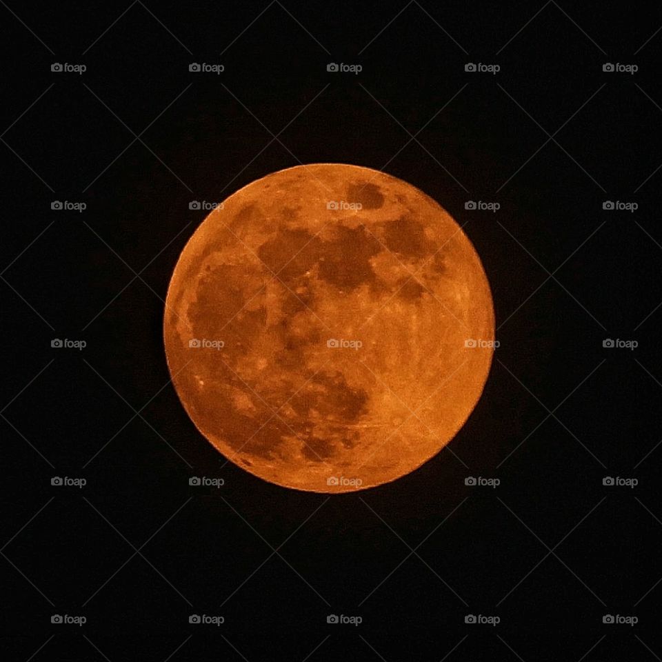close-up of big orange moon in clear sky.