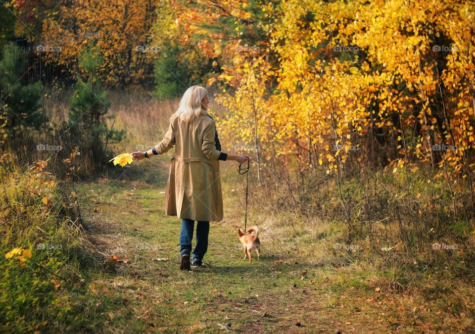 Woman walks with a small dog in autumn park