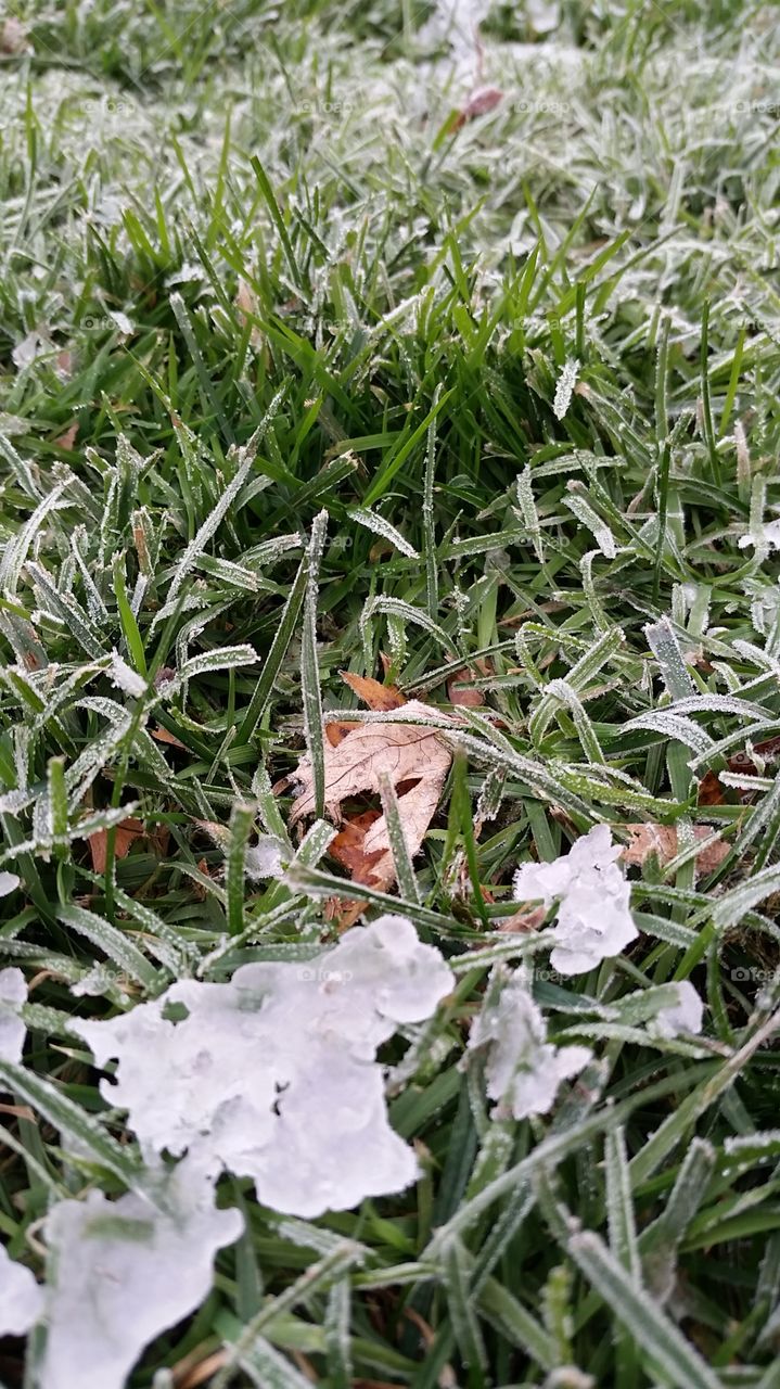 frost on the grass and fallen leaves
