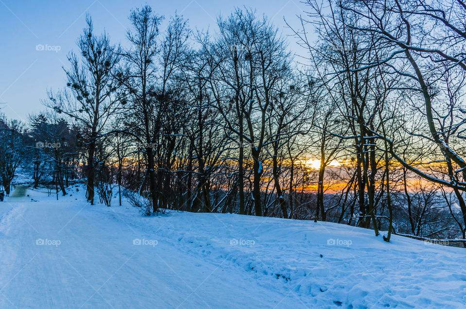 Nature landscape during sunset
