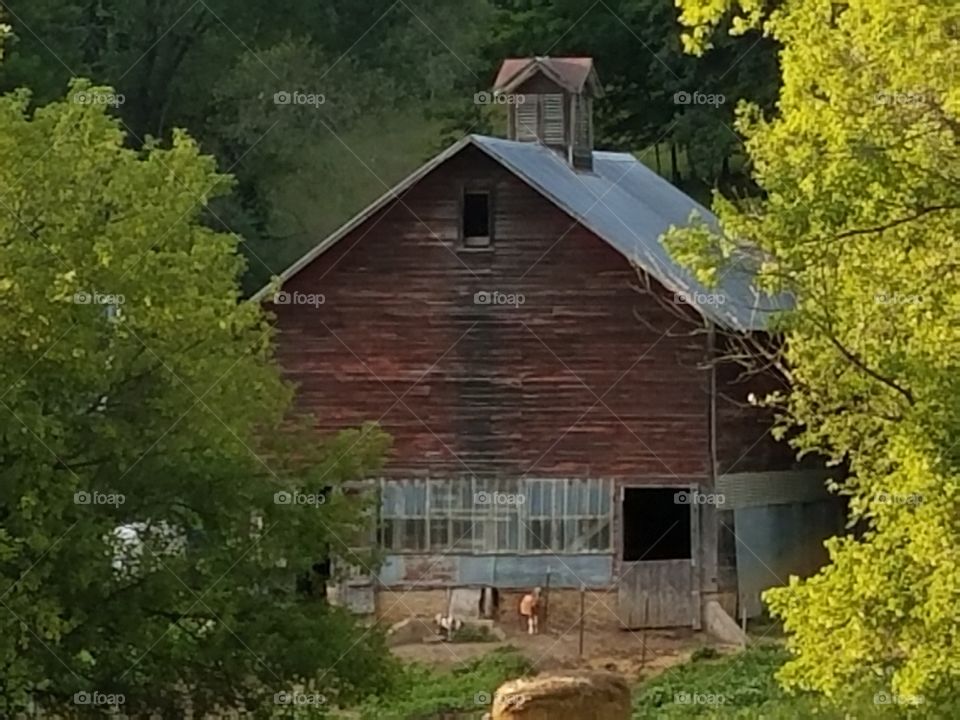 Driving the Back Roads and enjoying everything around us