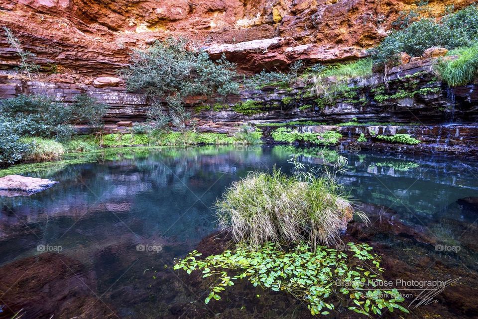 Water, Nature, Stream, No Person, River