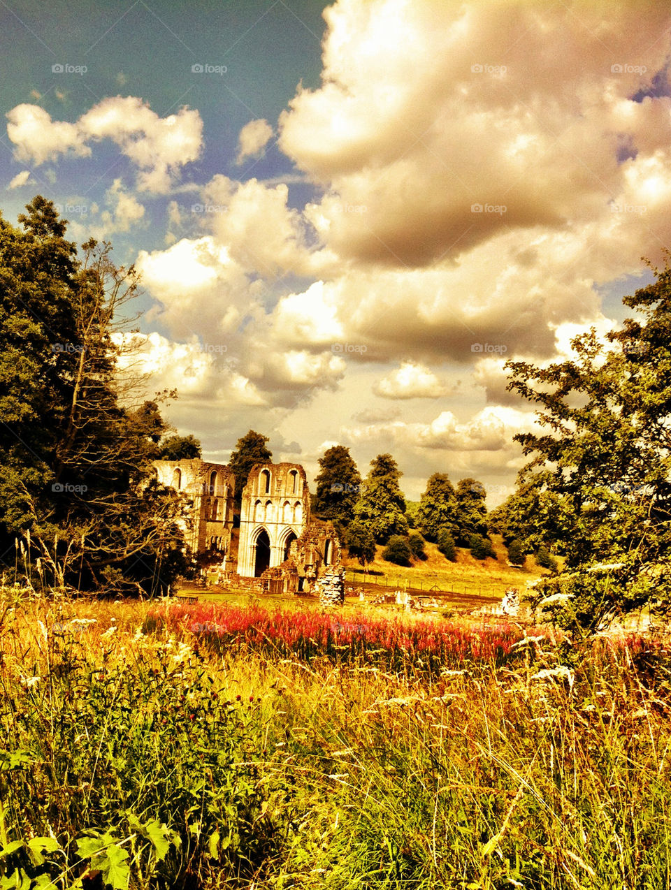 Summers day at the Abbey