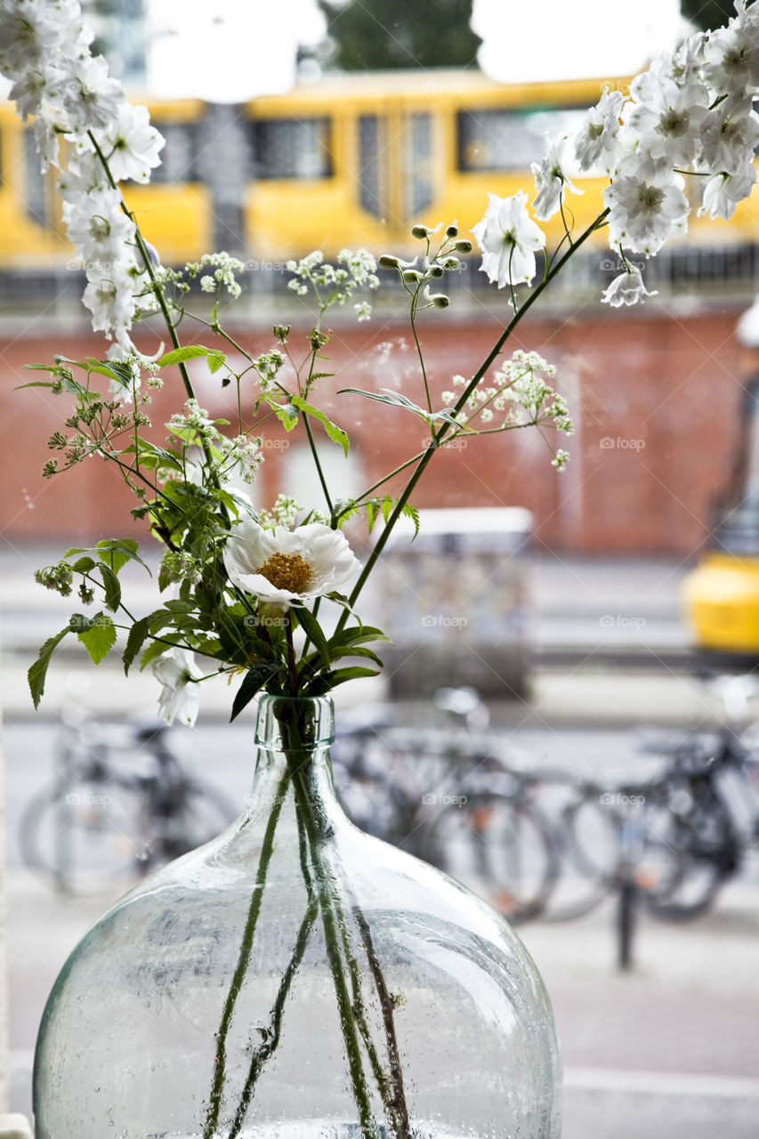 Flowers in a window with city outside