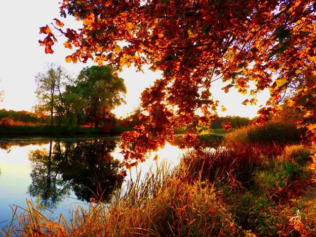 Golden autumn