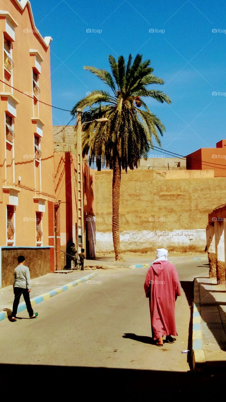 A palm tree in the street and people going to the mosque on the Friday pray