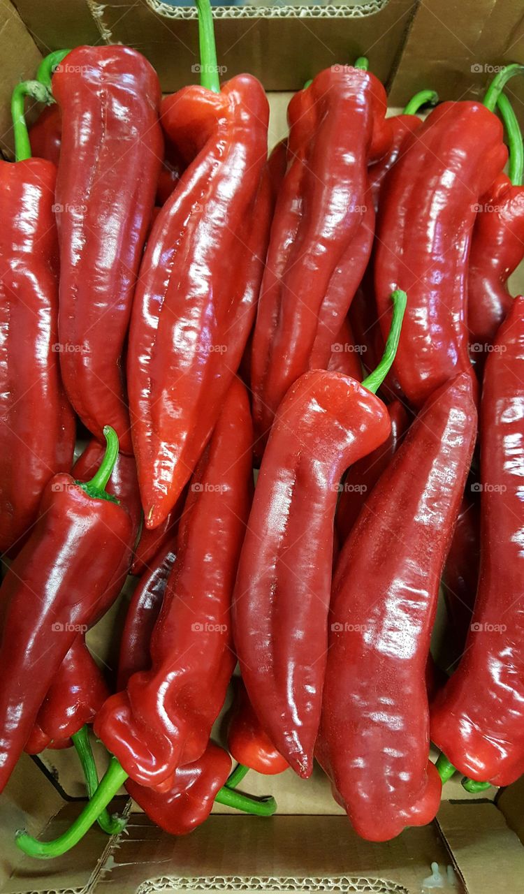 Close-up of red chillies