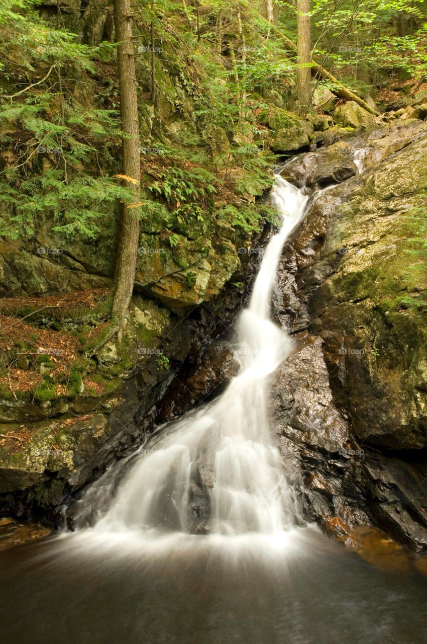 A waterfall in the forest