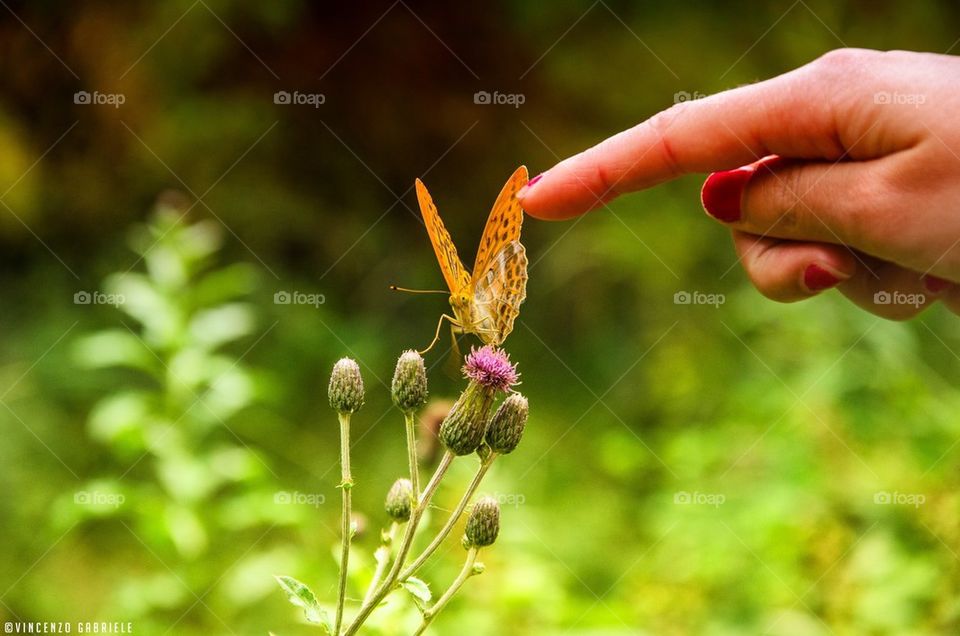 Butterfly touch