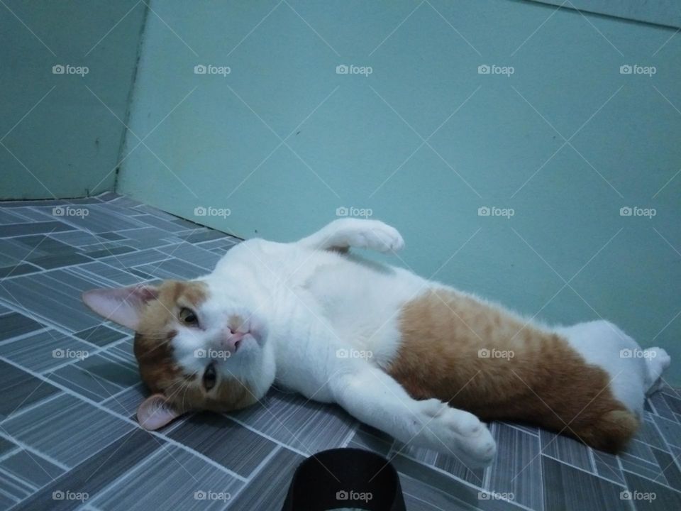 If i cute please buy my photo☺️