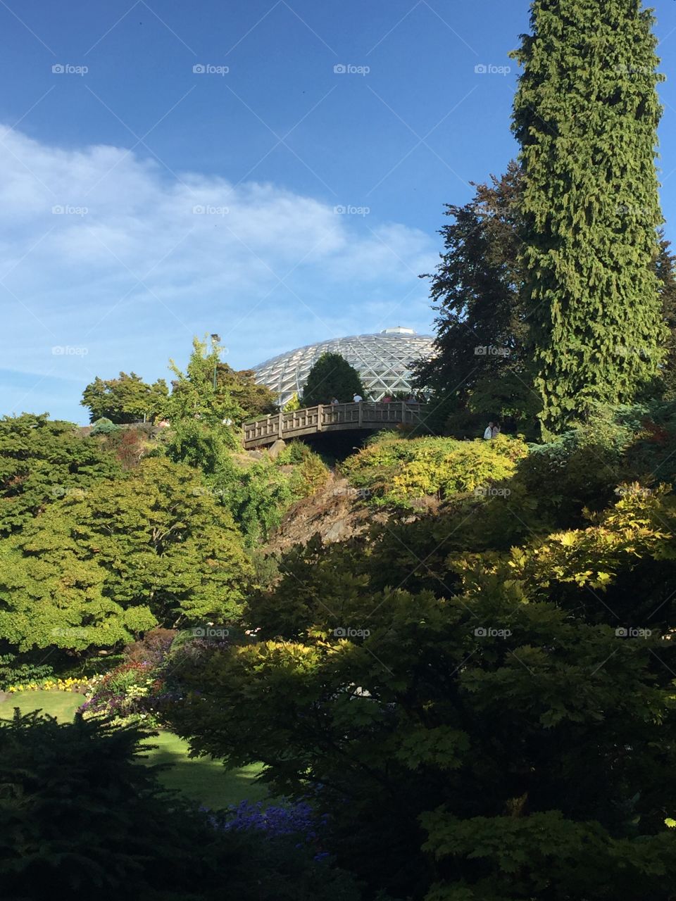 Bloedel Conservatory is seen in the background from the main quarry gardens at Queen Elizabeth Park in Vancouver, British Columbia 