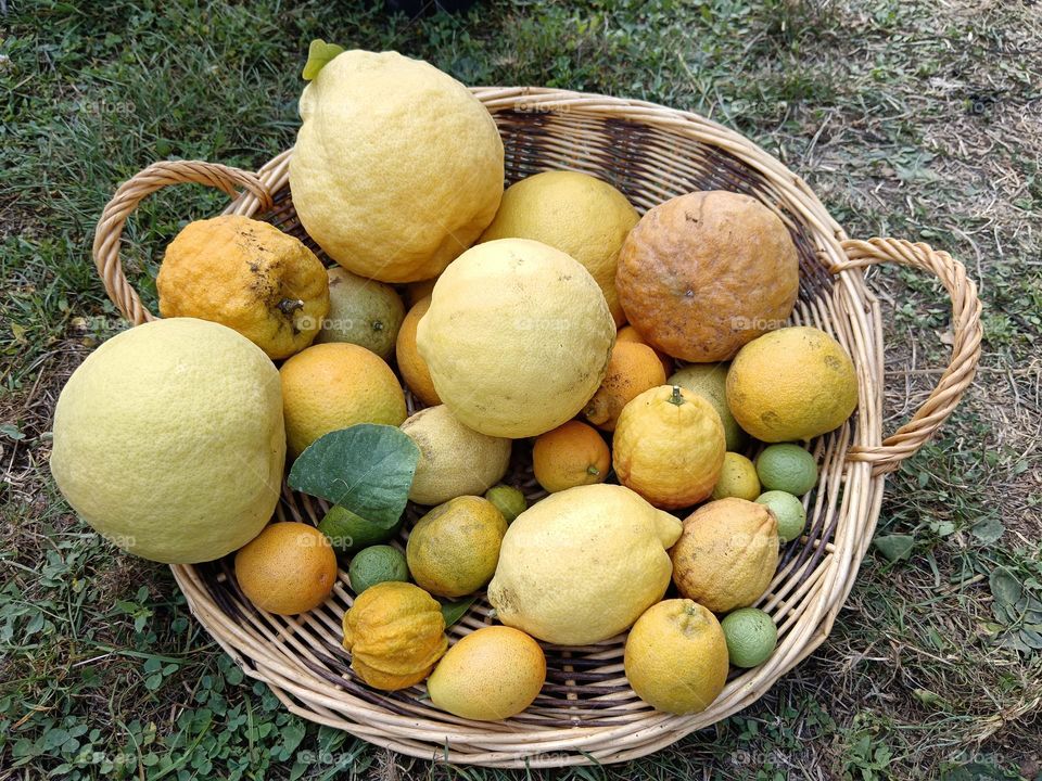 Some lemons in a wooden basket