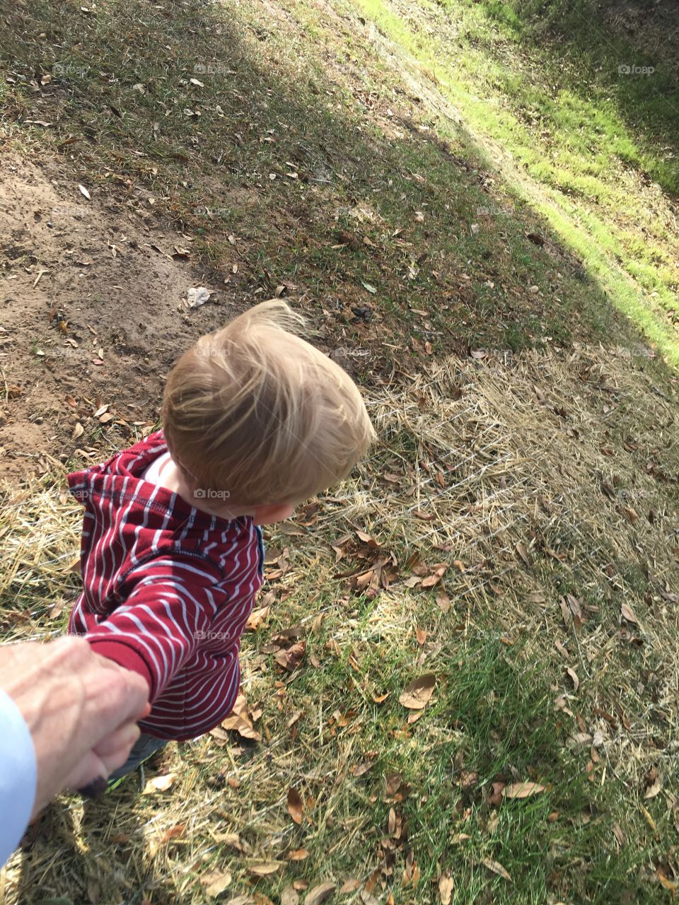 Adventure of a Little Boy