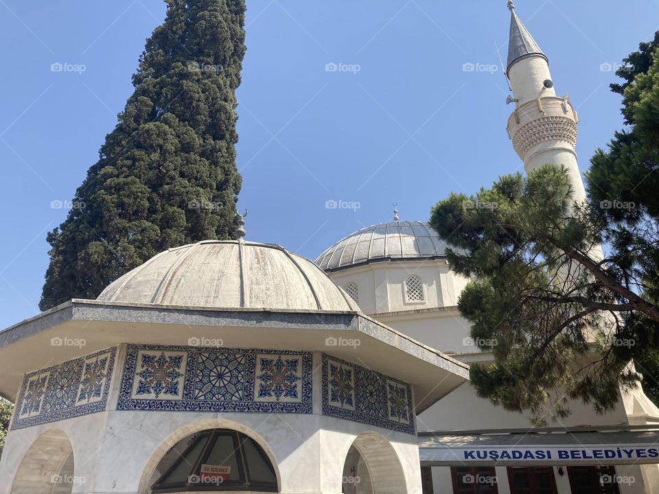Sunny holidays I’m Turkey. Walk in the cute city and charming streets by the beach in Kusadasi. perfect blue sky and ocean view. Beach and the shore. To travel is to live. Gorgeous tall palm trees.