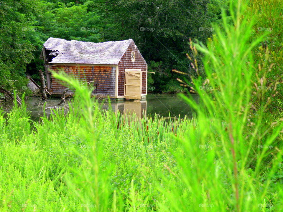 Boathouse Grass