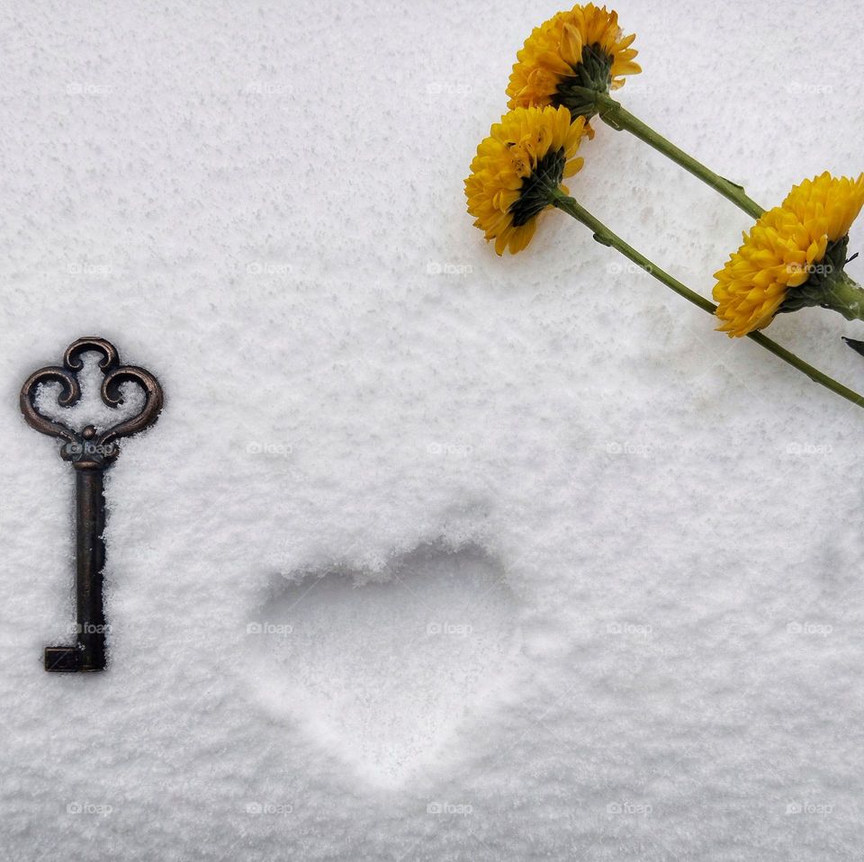 Whether your heart is filled with spring love or coldness of the winter, the key to it is always kindness and love. Let's live kindly more.