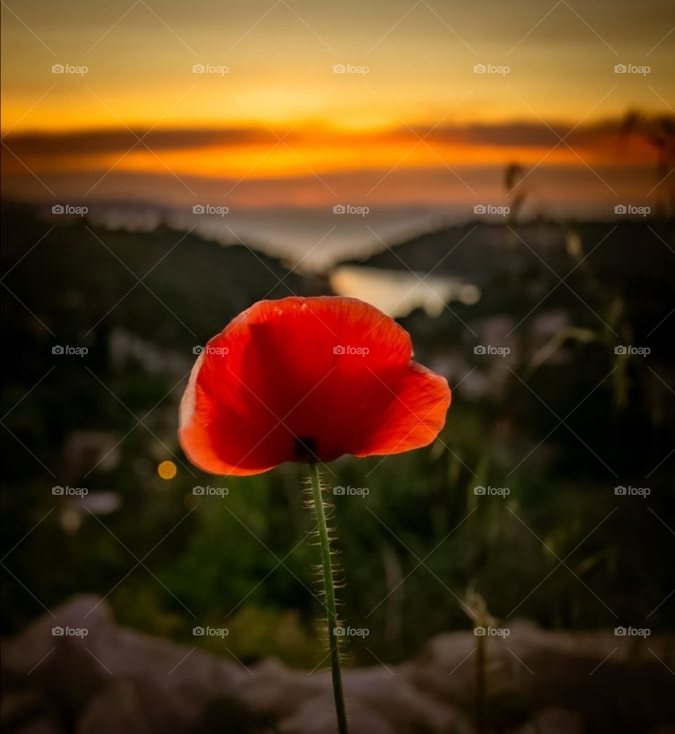 I'm just a dreamer...🧡