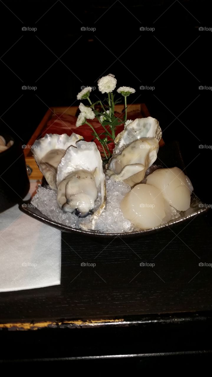 OYSTERS SCALLOPS