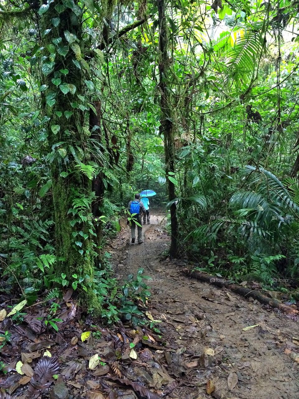 Raindrops keep falling on my head