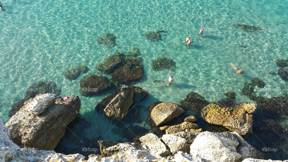 People swimming in the sea