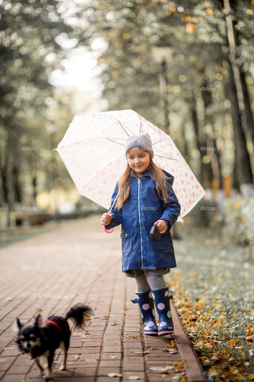 Little girl with umbrella in waterproof boots walking with chihuahua dog 